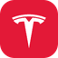 Tesla icon