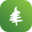 Essay icon