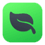 Mint icon
